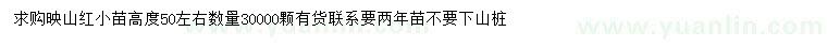 求購(gòu)高50公分左右映山紅小苗