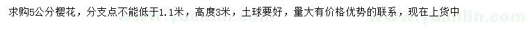 求購(gòu)5公分櫻花