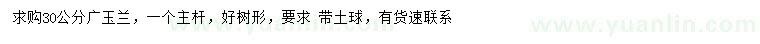 求購(gòu)30公分廣玉蘭
