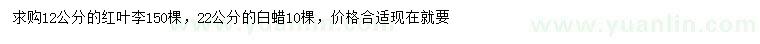 求購12公分紅葉李、22公分白蠟