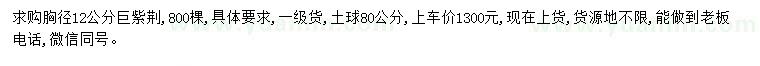 求購胸徑12公分巨紫荊