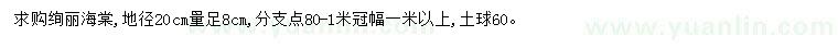 求購20量8公分絢麗海棠