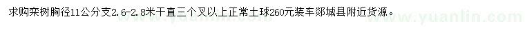 求購胸徑11公分欒樹