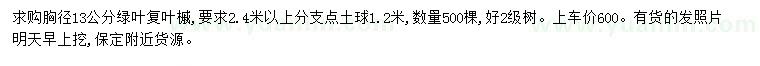 求購(gòu)胸徑13公分綠葉復(fù)葉槭
