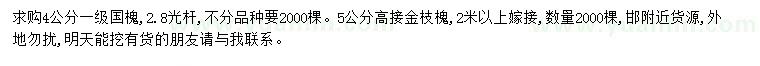 求購4公分國槐、5公分金枝槐