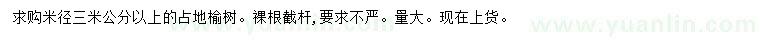 求購(gòu)米徑3公分以上榆樹