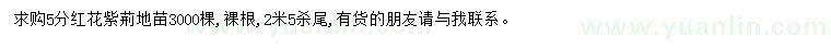 求購5公分紅花紫荊