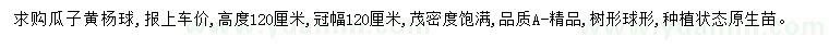 求購(gòu)高120公分瓜子黃楊球