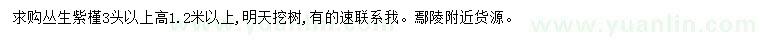 求購高1.2米以上叢生紫荊