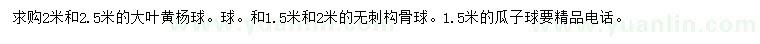 求購大葉黃楊球、無刺構(gòu)骨球、瓜子球