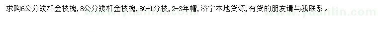 求購(gòu)6、8公分金枝槐