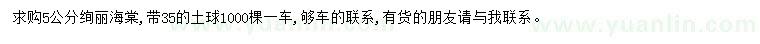 求購5公分絢麗海棠