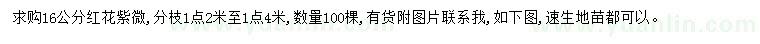求購(gòu)16公分紅花紫微