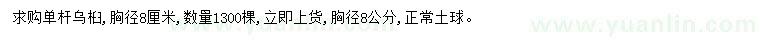 求購(gòu)胸徑8公分烏桕