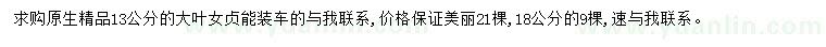 求購(gòu)13、18公分大葉女貞