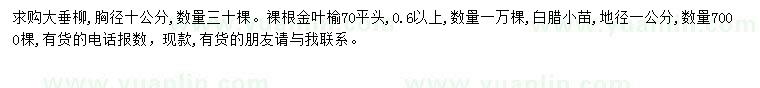 求購垂柳、金葉榆、白蠟小苗