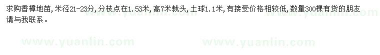 求購(gòu)米徑21-23分香樟