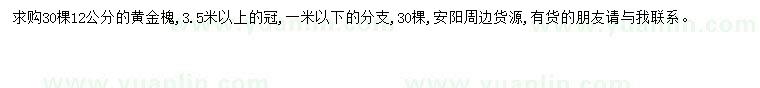 求購12公分黃金槐