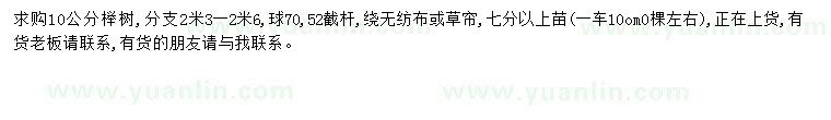 求購10公分櫸樹