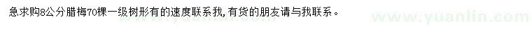 求購8公分臘梅