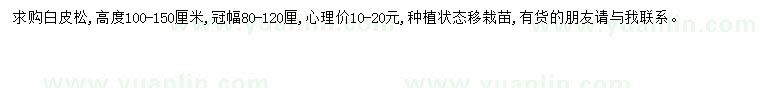 求購(gòu)高100-150公分白皮松