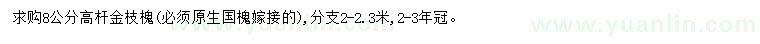 求購8公分高桿金枝槐