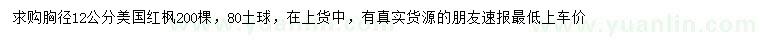 求購胸徑12公分美國紅楓