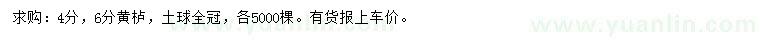 求購4、6公分黃櫨