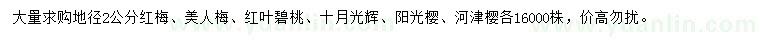 求購紅梅、美人梅、紅葉碧桃等