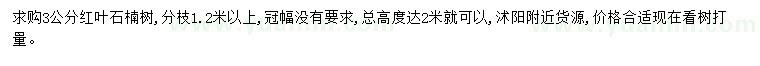 求購3公分紅葉石楠