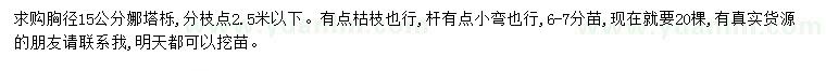 求購胸徑15公分娜塔櫟