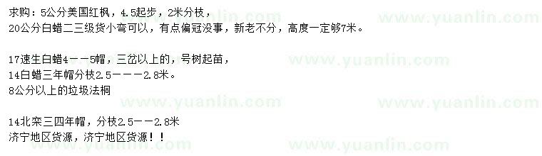 求購美國紅楓、速生白蠟、法桐等