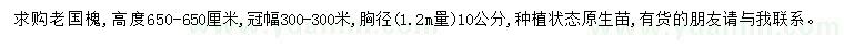 求購胸徑10公分老國槐