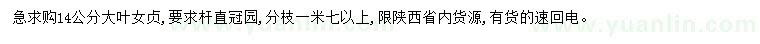 求購14公分大葉女貞