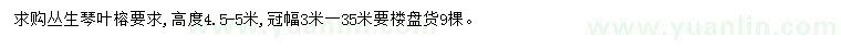 求購(gòu)高4.5-5米叢生琴葉榕