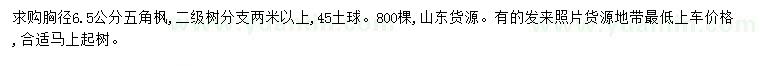 求購胸徑6.5公分五角楓