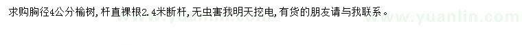 求購胸徑4公分榆樹