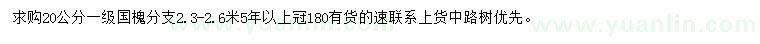 求購20公分國槐