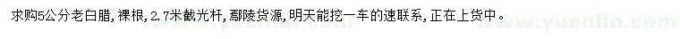 求購5公分老白蠟