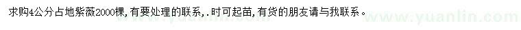 求購4公分紫薇