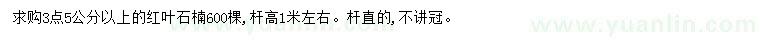 求購3.5公分以上紅葉石楠