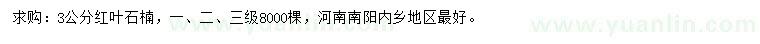 求購3公分紅葉石楠