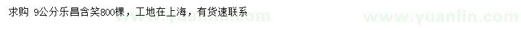 求購9公分樂昌含笑