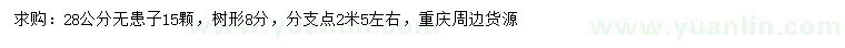 求購(gòu)28公分無患子