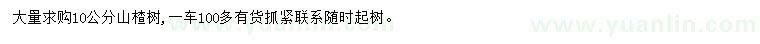 求購10公分山楂樹