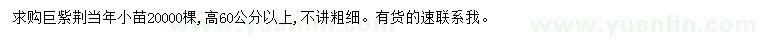 求購高60公分以上巨紫荊