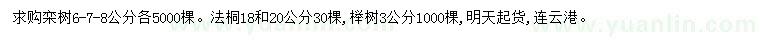 求購(gòu)欒樹(shù)、法桐、櫸樹(shù)