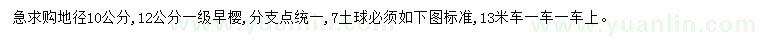 求購地徑10、12公分早櫻