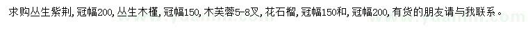 求購叢生紫荊、叢生木槿、木芙蓉等