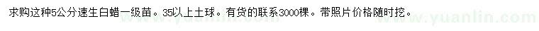 求購5公分速生白蠟